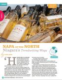 Napa of the North article