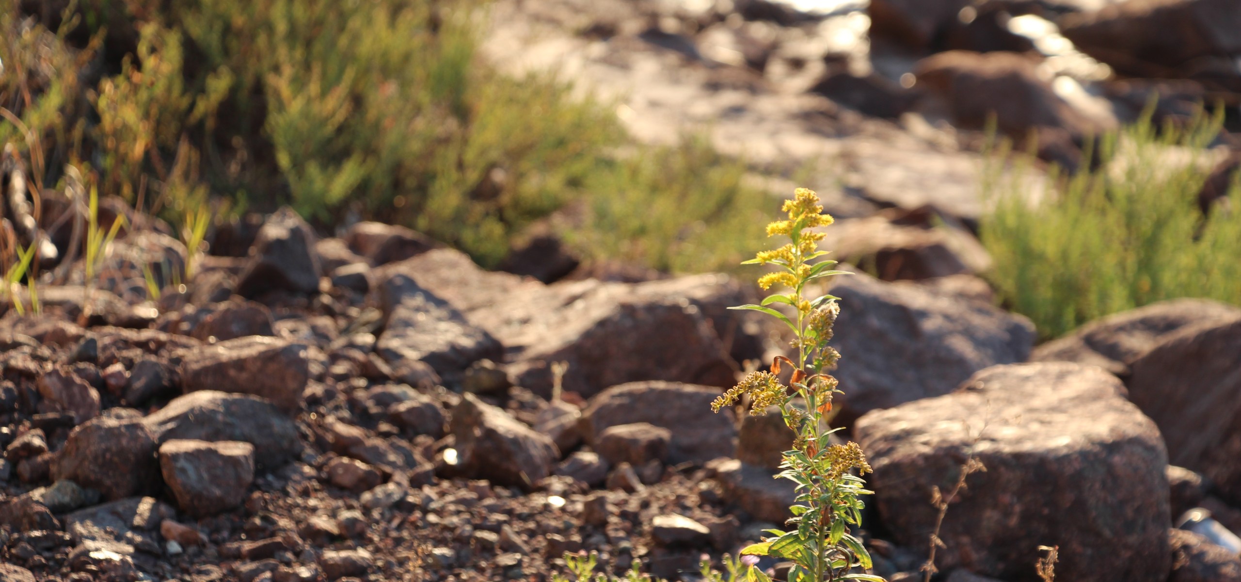 Life and death and travel