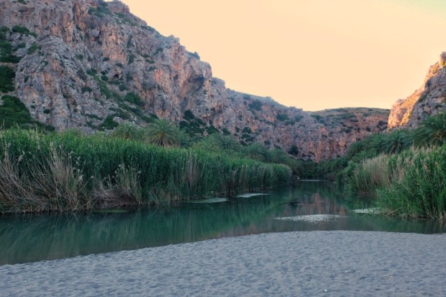 palm tree-lined beach on Crete